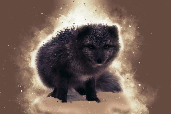 Download Printable Animal Graphics #13 - Premium Resources