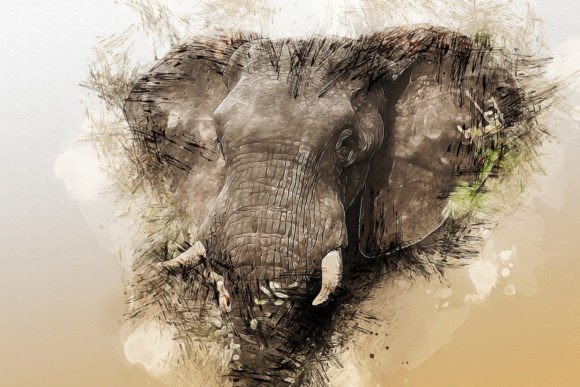 Download Printable Animal Graphics #19 - Premium Resources