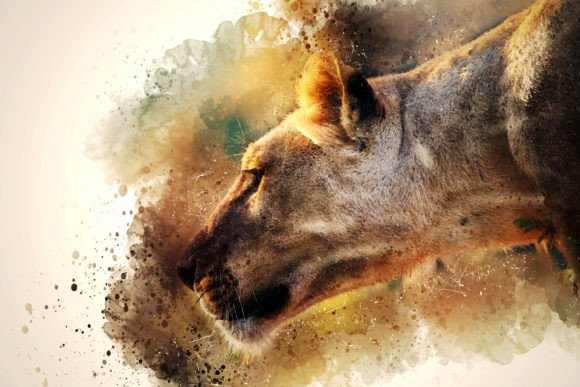 Download Printable Animal Graphics #07 - Premium Bundle