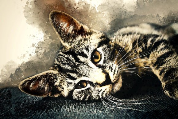 Download Printable Animal Graphics #08 - Premium Bundle