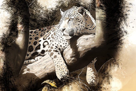 Download Printable Animal Graphics #26 - Premium Resources